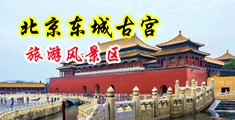 在线观看骚货中国北京-东城古宫旅游风景区